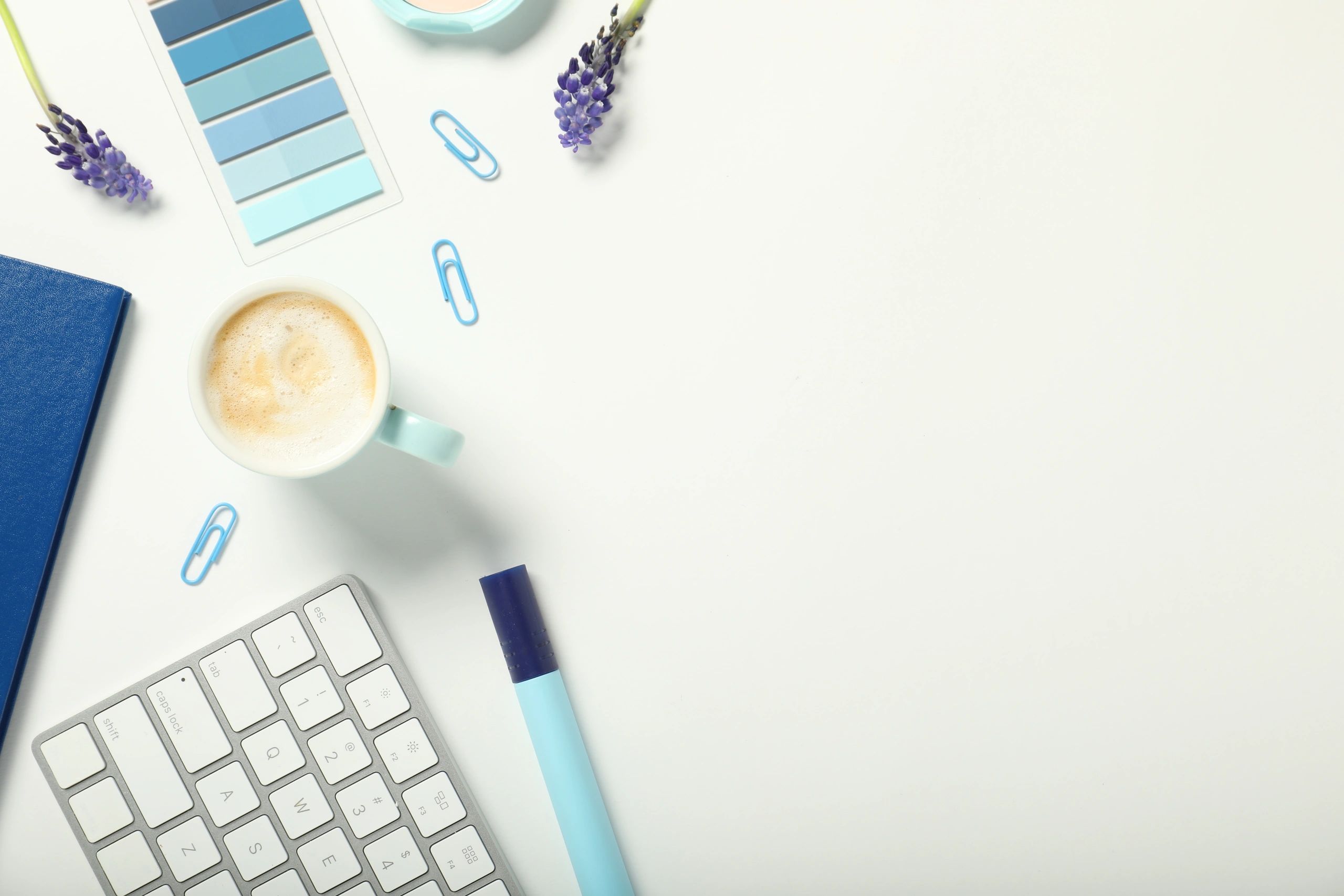 Flat lay of feminine stationery, flowers, and coffee